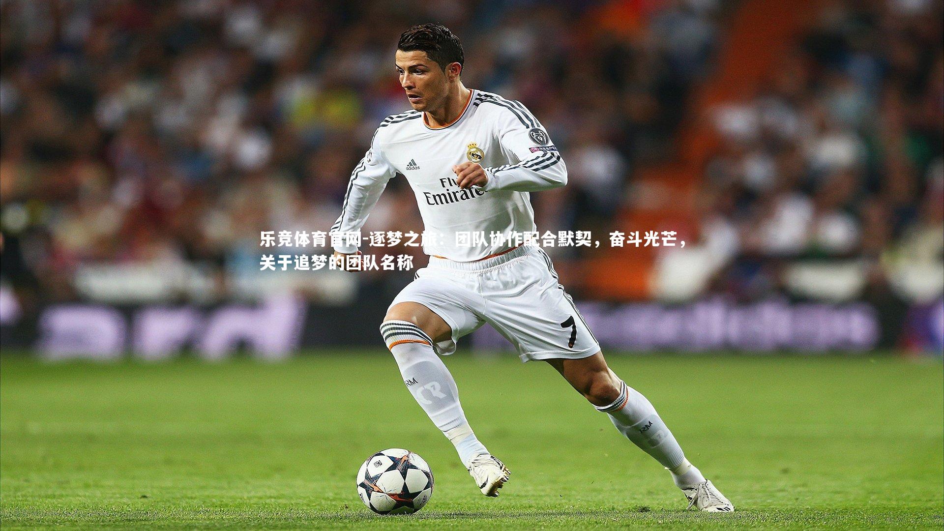 逐梦之旅：团队协作配合默契，奋斗光芒，关于追梦的团队名称